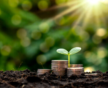 A seedling growing on a pile of coins has a natural backdrop, blurry green, money-saving ideas and economic growth.
